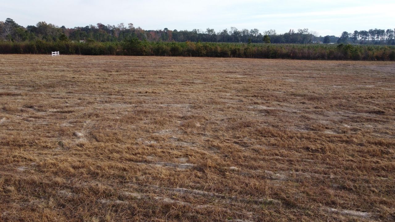 149 Rambling Ln Photo 5