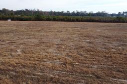 149 Rambling Ln photo 4