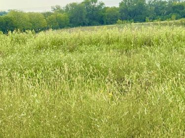 22715 Quarry Lane, Gretna, NE 68028