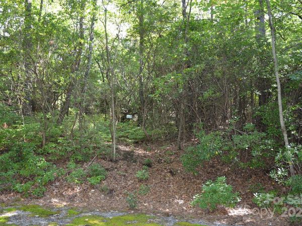 Lot 9 Galax Lane, Brevard, NC 28712