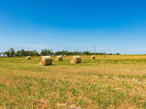 TBD FM 2746, Anson, TX 79501