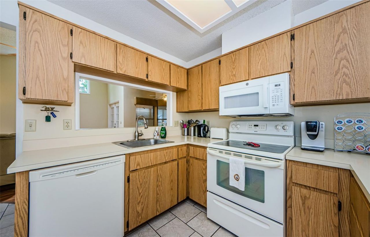 11805 Loblolly Pine Drive, New Port Richey, FL 34654 Photo