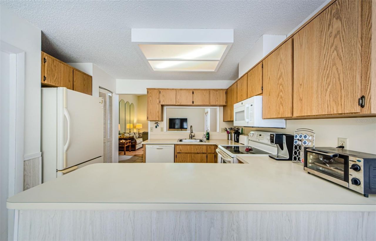 11805 Loblolly Pine Drive, New Port Richey, FL 34654 Photo