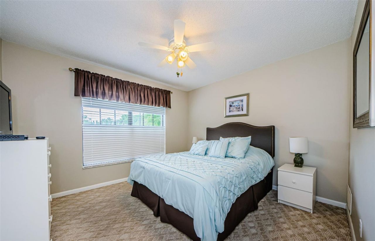 11805 Loblolly Pine Drive, New Port Richey, FL 34654 Photo