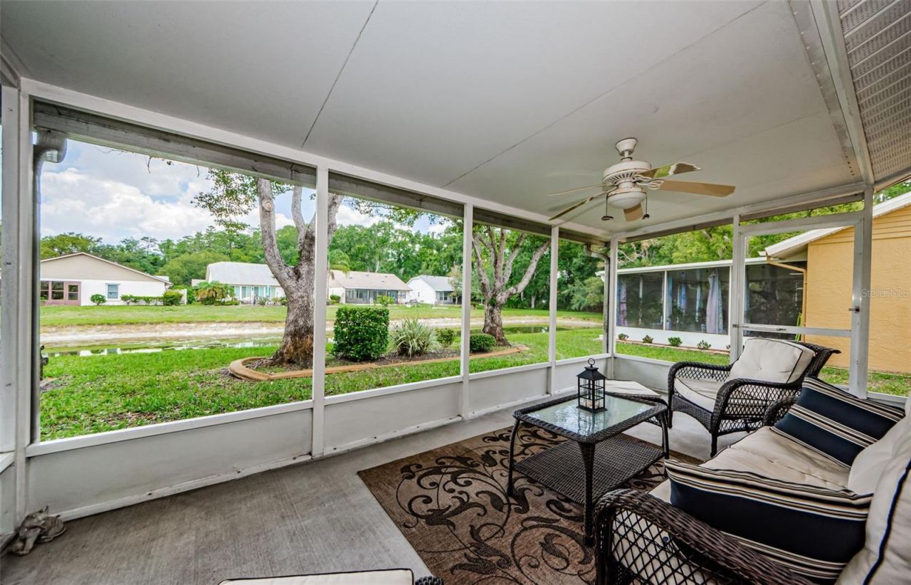 11805 Loblolly Pine Drive, New Port Richey, FL 34654 Photo