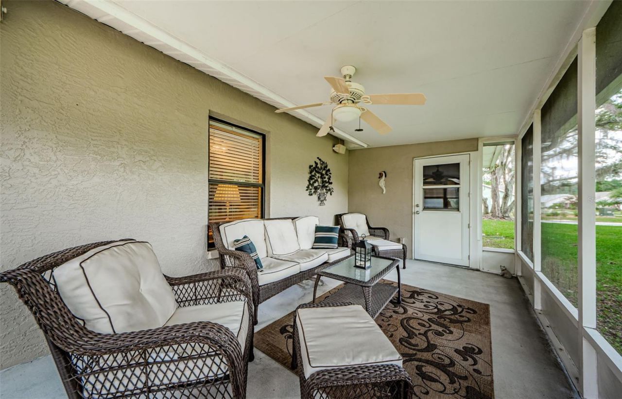 11805 Loblolly Pine Drive, New Port Richey, FL 34654 Photo