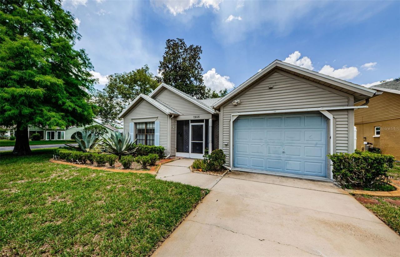 11805 Loblolly Pine Drive, New Port Richey, FL 34654 Photo