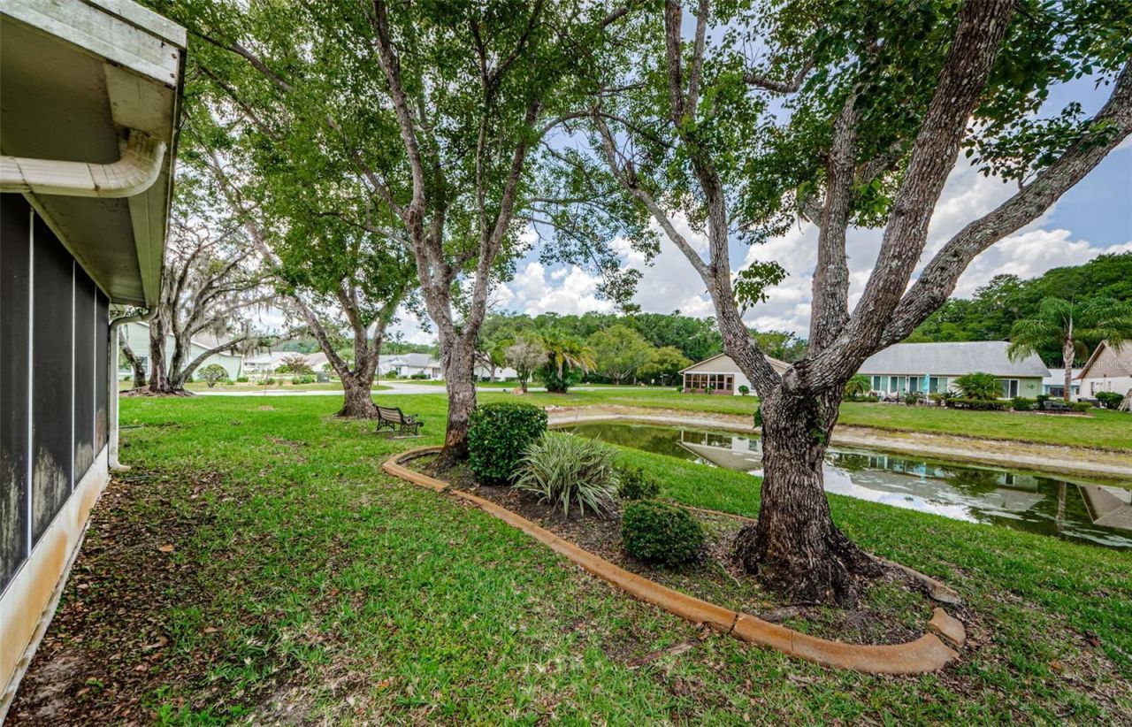 11805 Loblolly Pine Drive, New Port Richey, FL 34654 Photo
