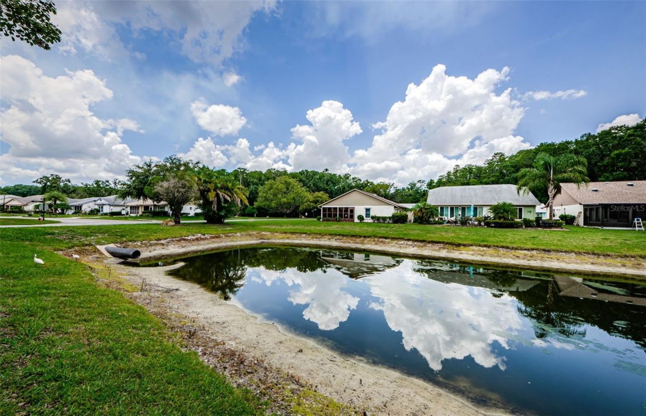 11805 Loblolly Pine Drive, New Port Richey, FL 34654 Photo