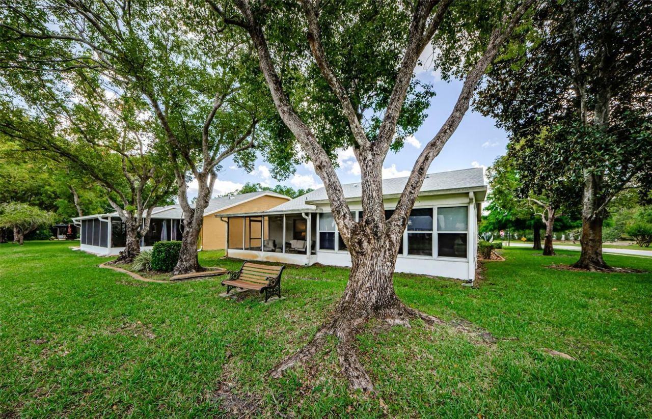 11805 Loblolly Pine Drive, New Port Richey, FL 34654 Photo