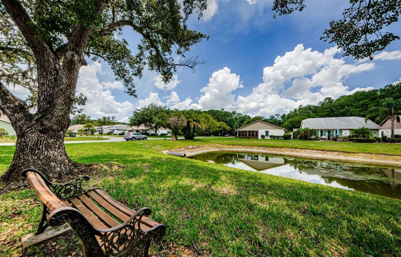 11805 Loblolly Pine Drive, New Port Richey, FL 34654 Photo