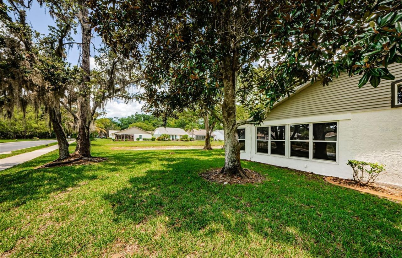 11805 Loblolly Pine Drive, New Port Richey, FL 34654 Photo
