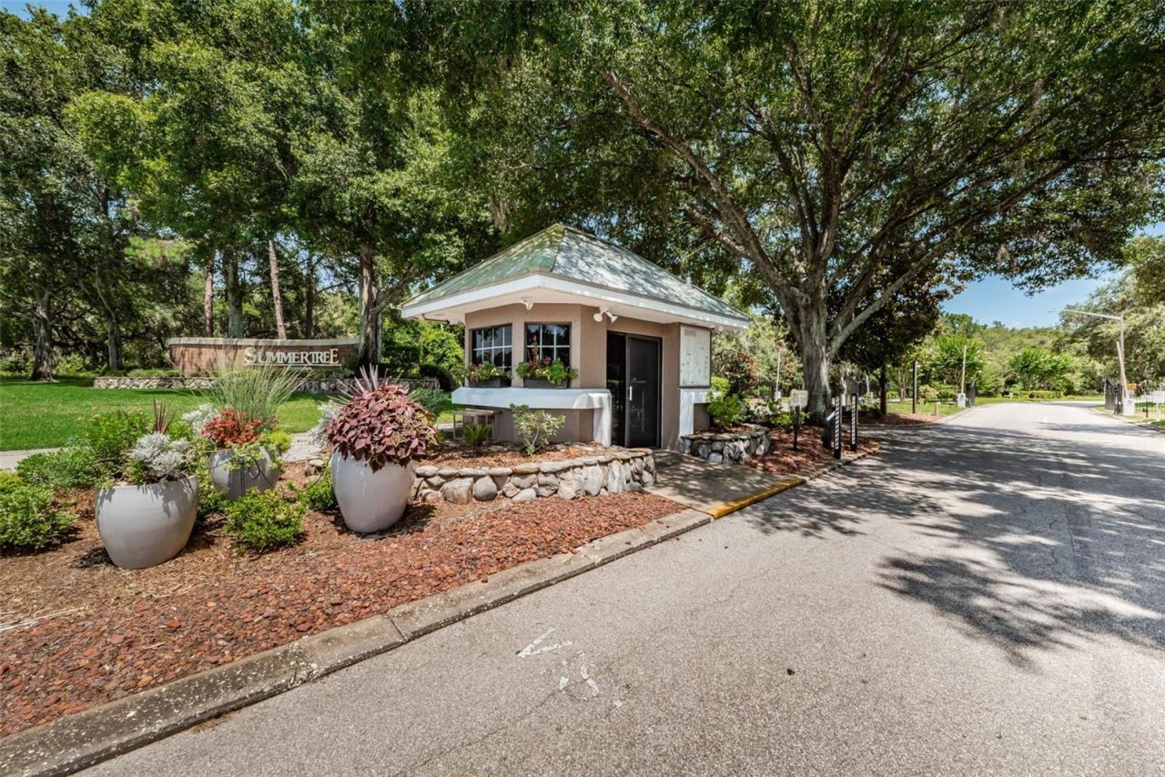 11805 Loblolly Pine Drive, New Port Richey, FL 34654 Photo