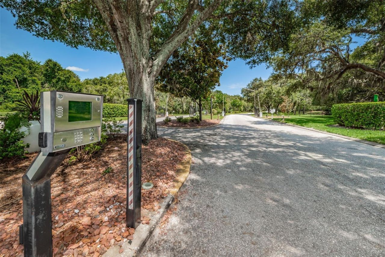 11805 Loblolly Pine Drive, New Port Richey, FL 34654 Photo
