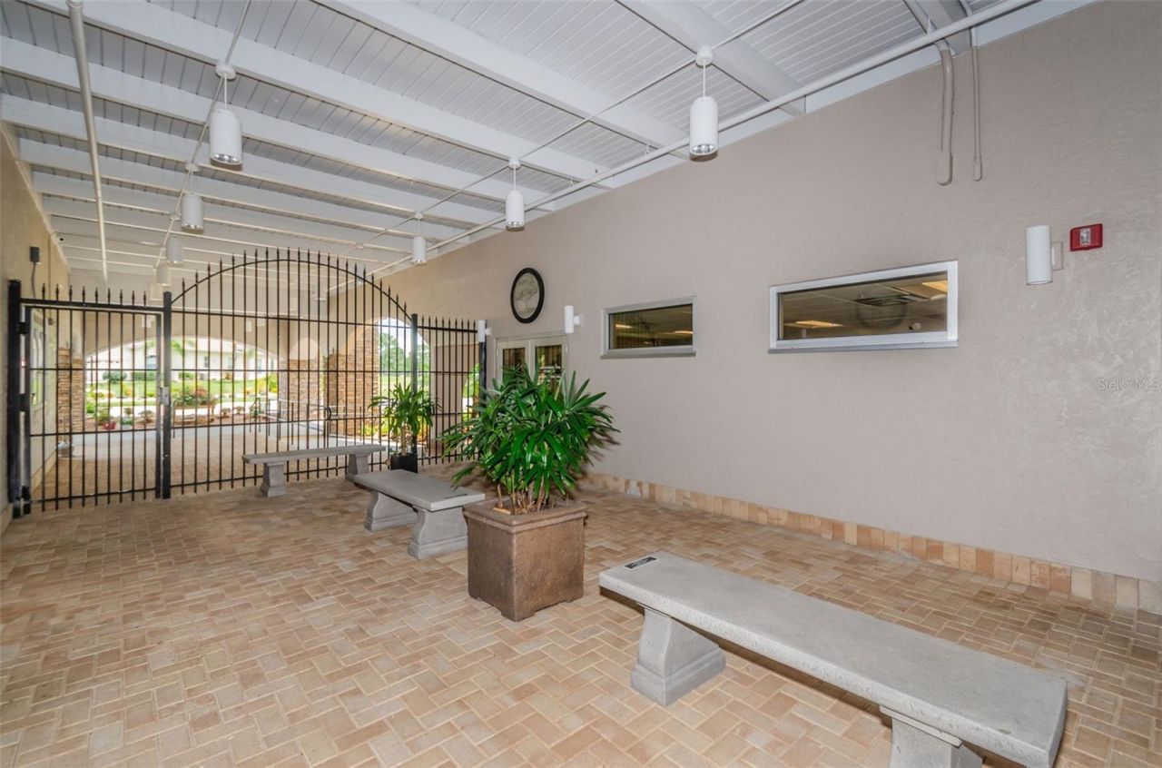 11805 Loblolly Pine Drive, New Port Richey, FL 34654 Photo
