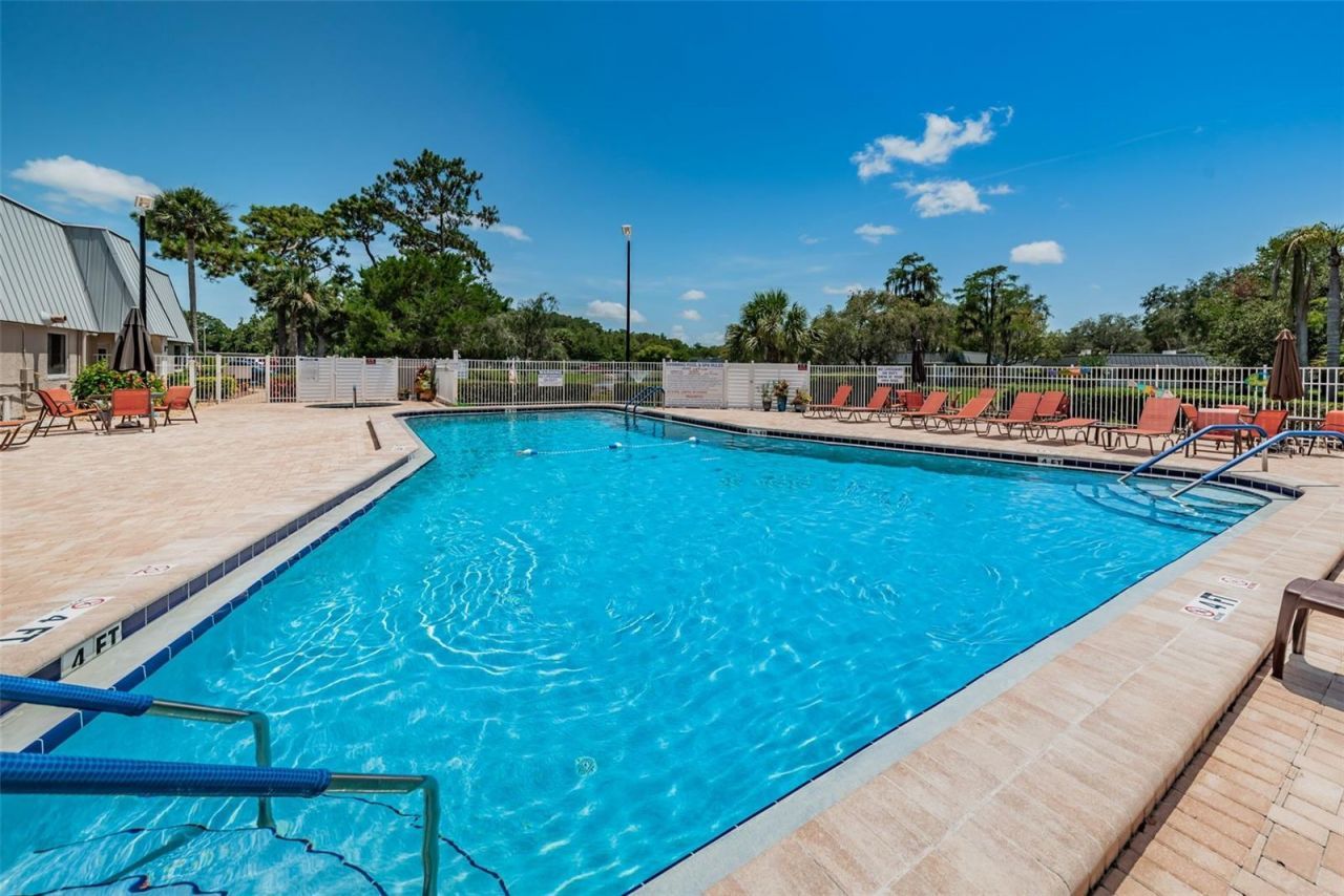 11805 Loblolly Pine Drive, New Port Richey, FL 34654 Photo