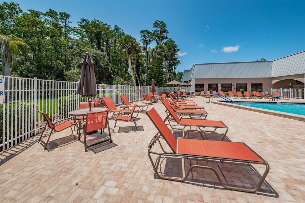 11805 Loblolly Pine Drive, New Port Richey, FL 34654 Photo