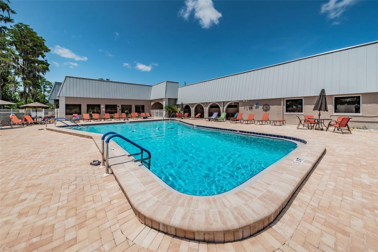 11805 Loblolly Pine Drive, New Port Richey, FL 34654 Photo