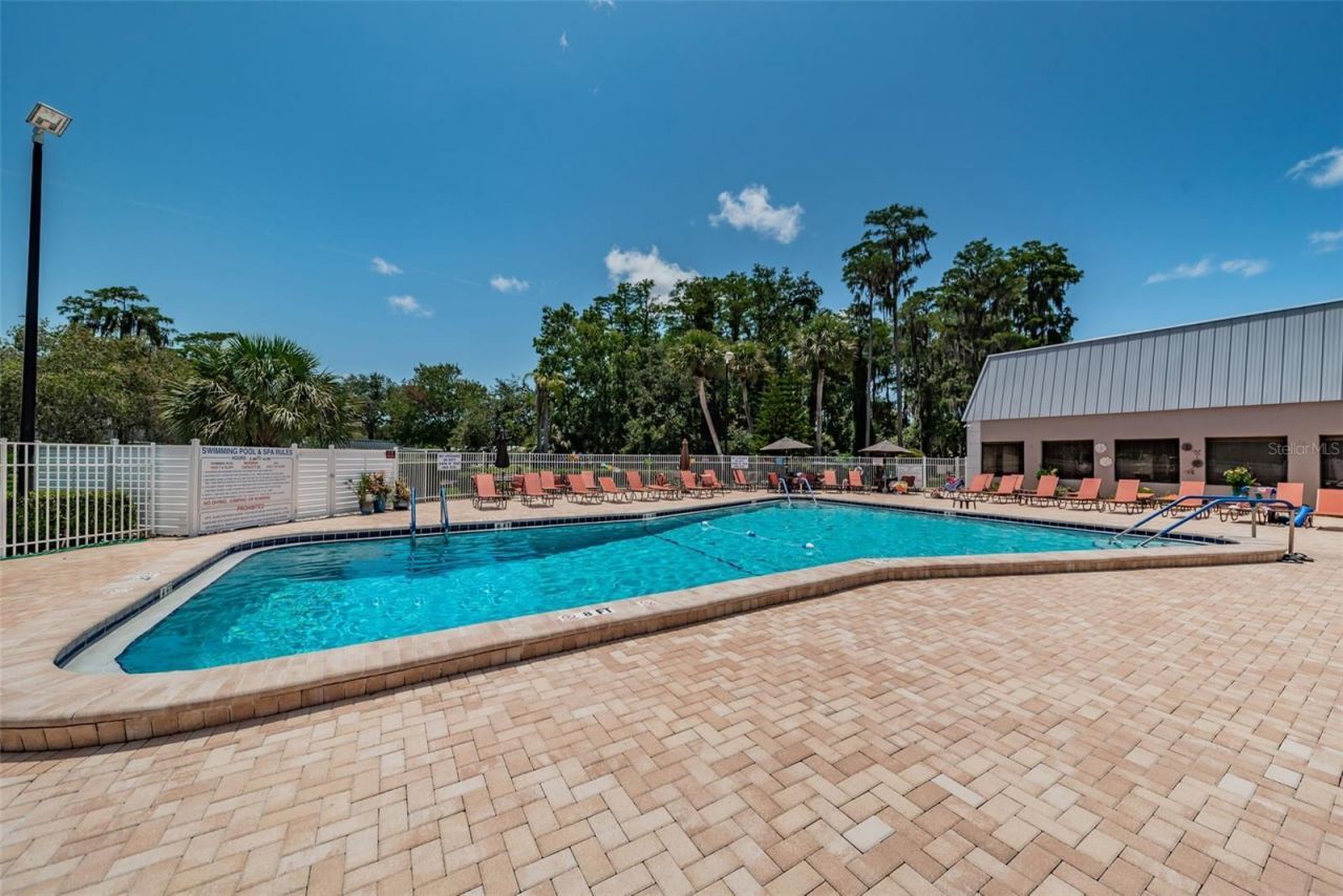 11805 Loblolly Pine Drive, New Port Richey, FL 34654 Photo