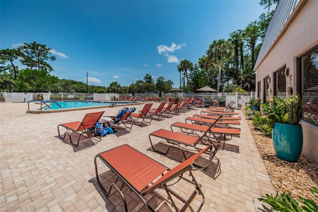 11805 Loblolly Pine Drive, New Port Richey, FL 34654 Photo