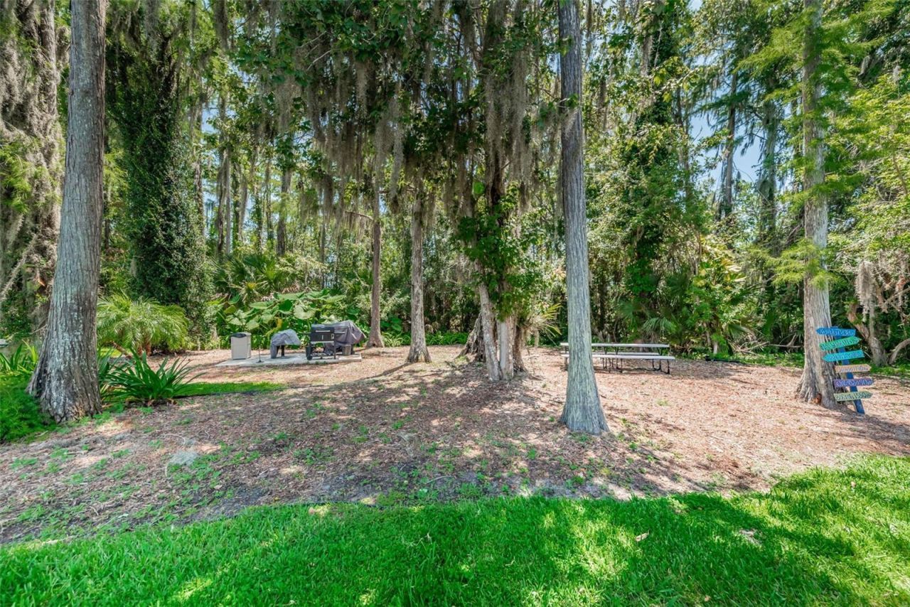 11805 Loblolly Pine Drive, New Port Richey, FL 34654 Photo