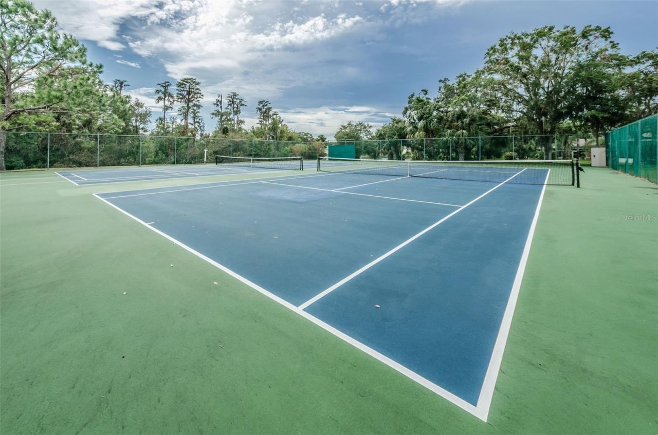 11805 Loblolly Pine Drive, New Port Richey, FL 34654 Photo
