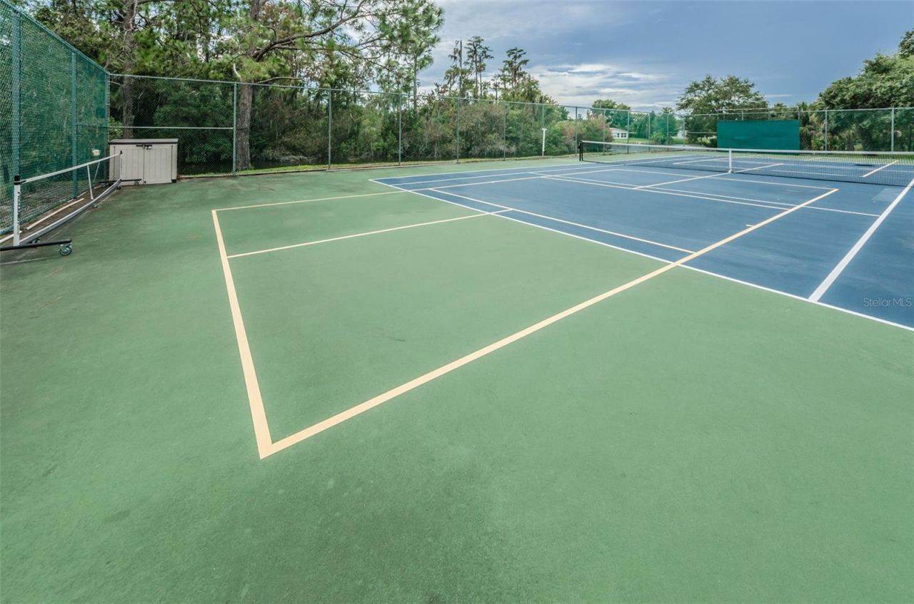 11805 Loblolly Pine Drive, New Port Richey, FL 34654 Photo