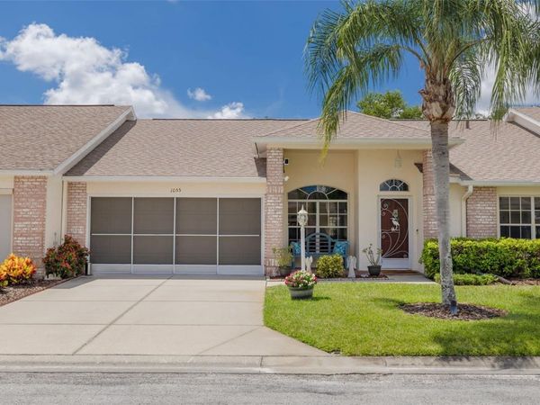 1055 BLYTH HILL COURT, TRINITY, FL 34655