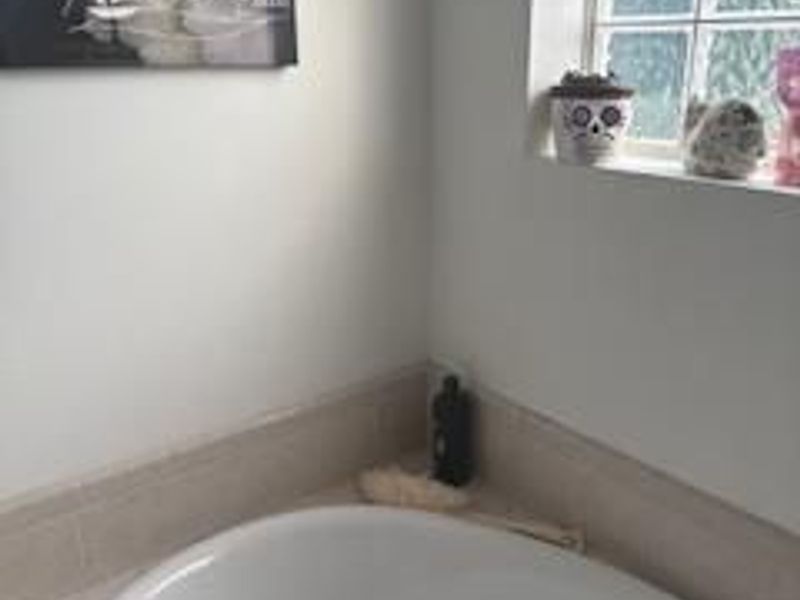 305 W Tenth Street, Sycamore, OH 44882 Photo 28