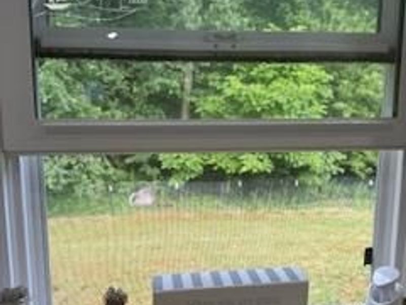 305 W Tenth Street, Sycamore, OH 44882 Photo 34