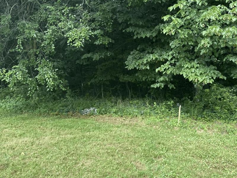 305 W Tenth Street, Sycamore, OH 44882 Photo 52