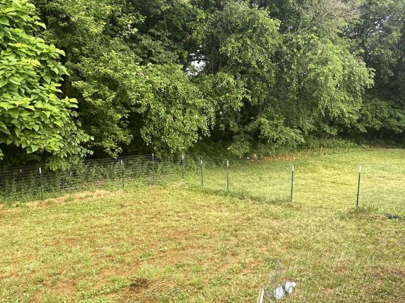 305 W Tenth Street, Sycamore, OH 44882 Photo 54