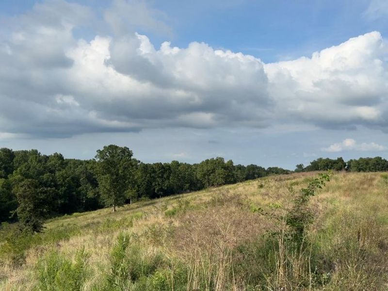 0 New Columbus Road, Corinth, KY 41010 Photo 19