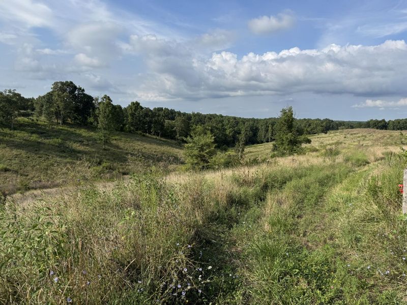 0 New Columbus Road, Corinth, KY 41010 Photo 8