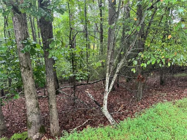 0 Enchanted Woods Drive, Blairsville, GA 30512