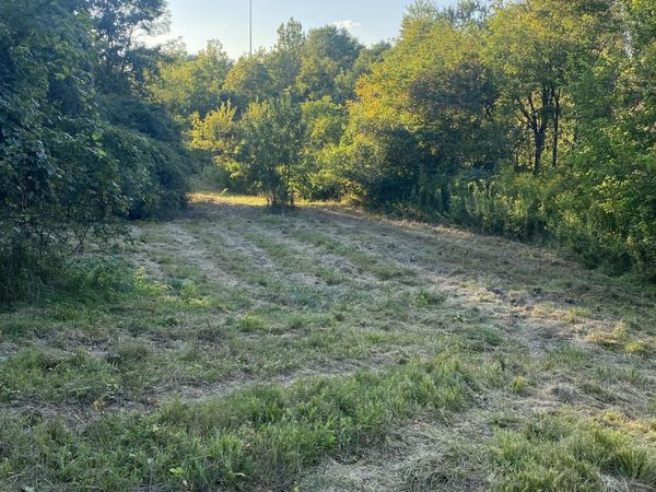 0 E 236 Highway E, North Salem, IN 46165