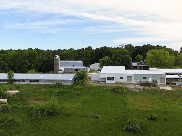 1258 Winningham Road, Seymour, MO 65746