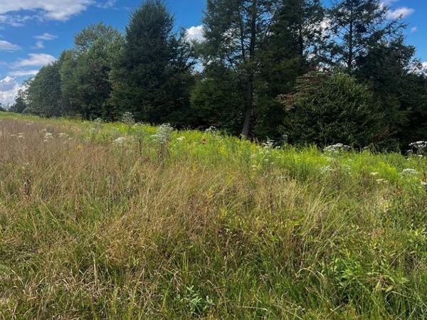 318 River Ridge Lane, MOUNT NEBO, WV 26679