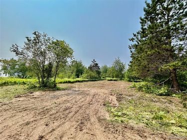 6658 Brookfield Court, Mancelona Twp, MI 49730