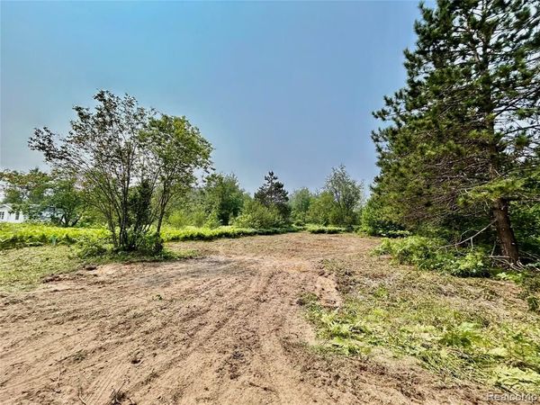 6658 Brookfield Court, Mancelona Twp, MI 49730