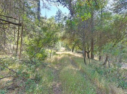 24316 Timber Ridge Dr, Auburn, CA 95602 Photo