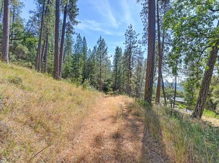 24316 Timber Ridge Dr, Auburn, CA 95602 Photo