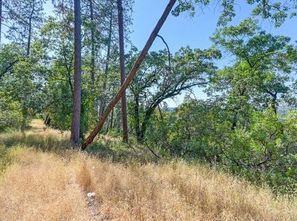 24316 Timber Ridge Dr, Auburn, CA 95602 Photo