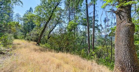 24316 Timber Ridge Dr, Auburn, CA 95602 Photo