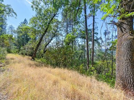 24316 Timber Ridge Dr, Auburn, CA 95602 Photo