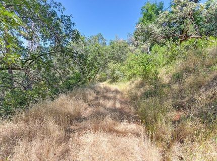 24316 Timber Ridge Dr, Auburn, CA 95602 Photo