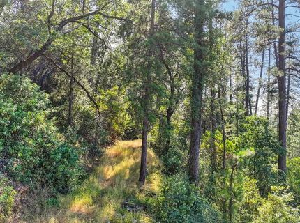 24316 Timber Ridge Dr, Auburn, CA 95602 Photo