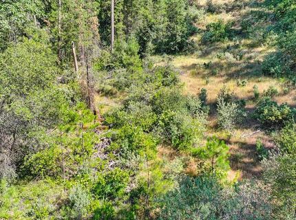 24316 Timber Ridge Dr, Auburn, CA 95602 Photo