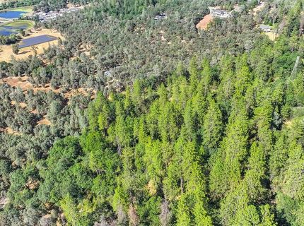 24316 Timber Ridge Dr, Auburn, CA 95602 Photo