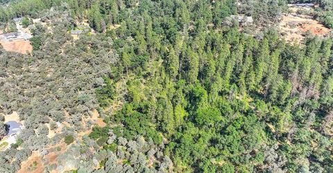 24316 Timber Ridge Dr, Auburn, CA 95602 Photo